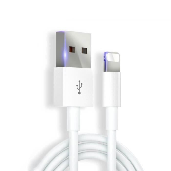 Chargeur - Apple - Renforcé - Charge Rapide - 1 mètre - Compatible iPhone et iPad