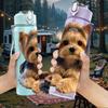 1PC Gentle Yorkie Puppy Close View 750ml Color Plastic Sports Water Bottle Leakproof Flip Straw Lid Suitable for Sports Office Home Use