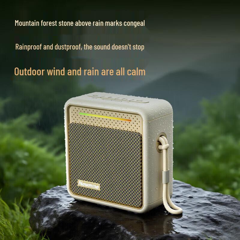 Беспроводная Bluetooth-колонка Newmine BT13, штекер CN (адаптер в комплекте) (Китайская версия)