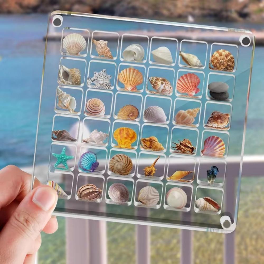 Acrylic Seashell Storage Box Multifunctional Beads Collection Box  Jewelry