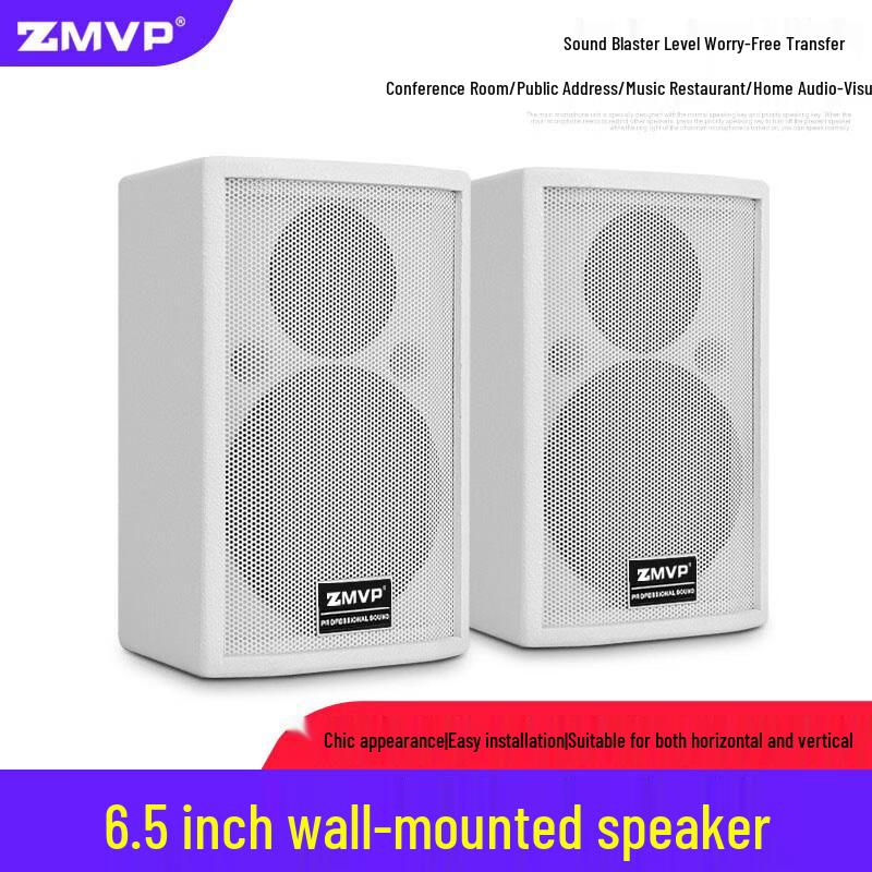 ZMVP S65 6.5-inch Passive Full-Range Conference Speaker