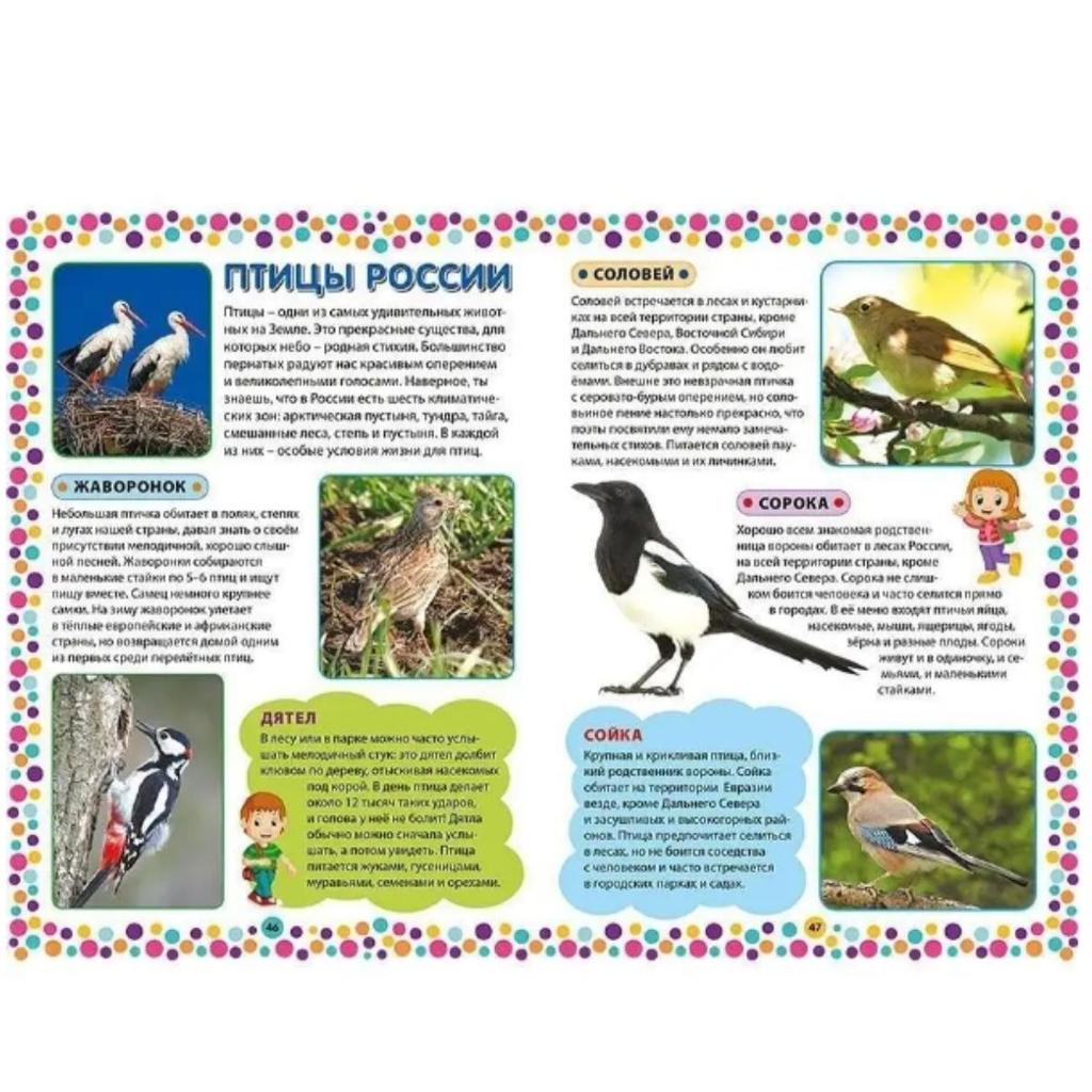 Современная энциклопедия для дошколят. Книги для детей