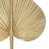 Dried Palm Leaf Decoration with Stem Rustic Boho Home Wedding Party Indoor