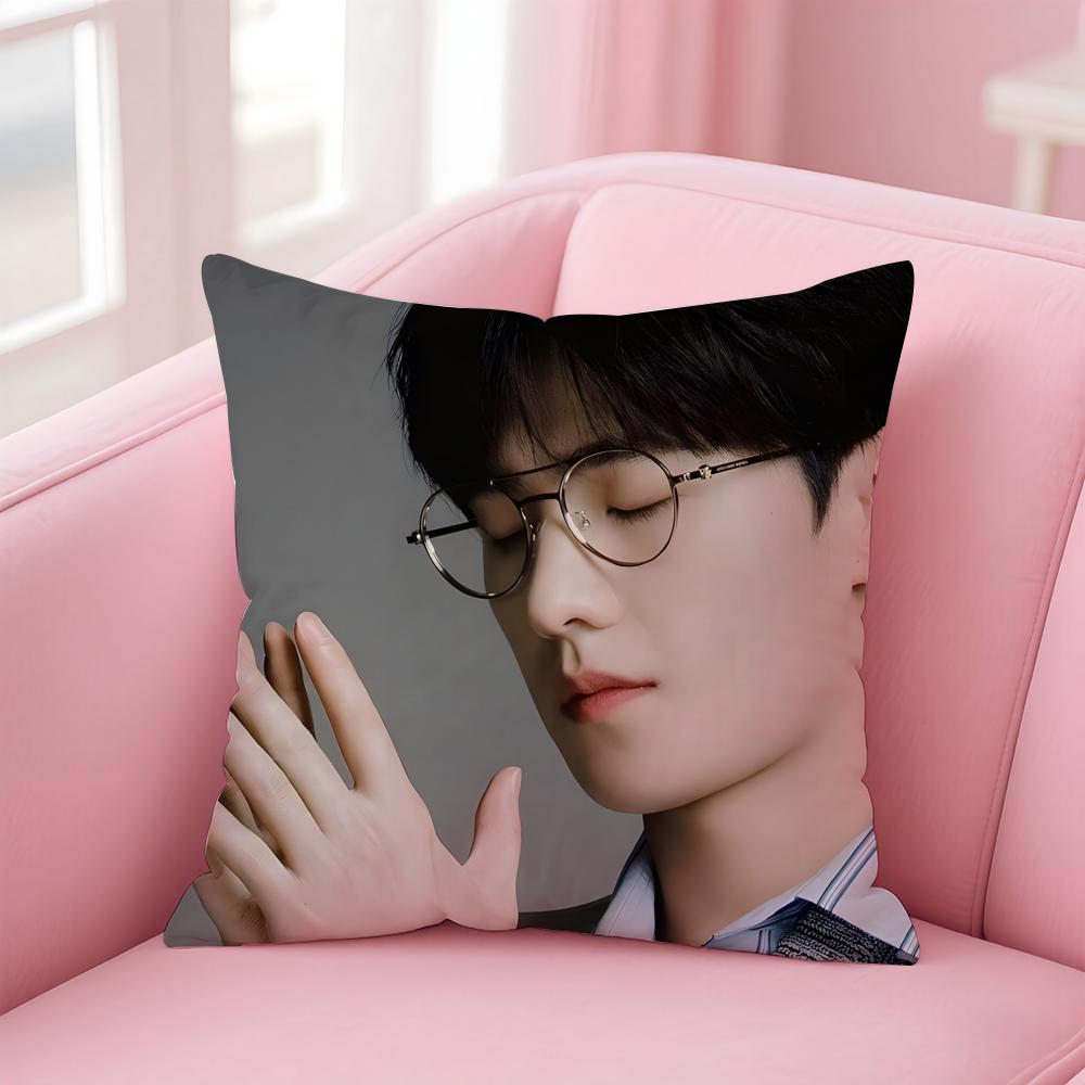 actor handsome YYang Yang Cushion Cover Pillow Case Soft Skin Friendly Fabric Concealed Zipper
