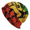 Winter Warm Lion Of Judah Reggae Rastafarian Flag Bonnet Femme Slouchy Beanie Hat Cool Ski Skullies Beanies Caps for Unisex Women
