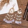 Accessories Bohemian Water Drop Rice Bead Earrings Personalized Long Earrings