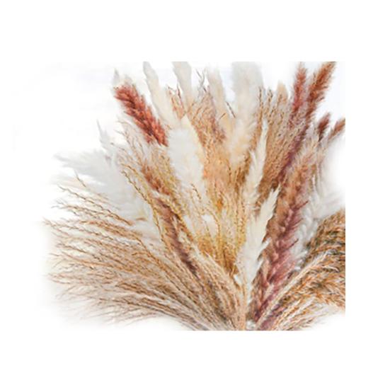 Красивая сухая тростниковая трава, не засохшая, изысканное декоративное мастерство