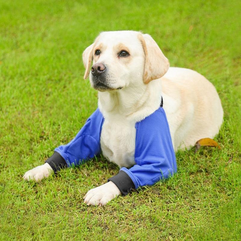 Adjustable Dog Elbow Bracer Pet Knee Brace Protector for Front Leg Pet Recovery Sleeve for Dog Elbow and Leg Support