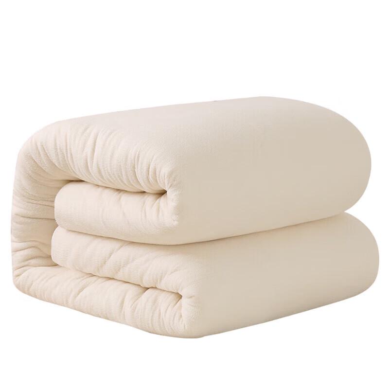 Guiyueqiao Thickened Cotton Quilt & Mattress Pad