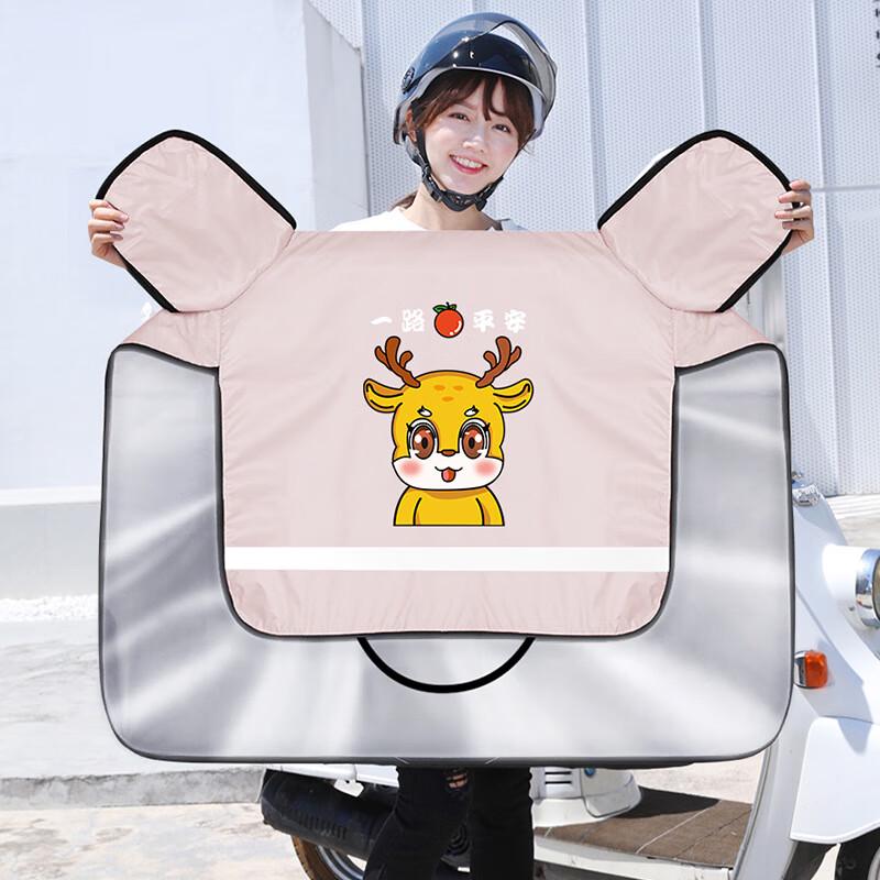 Ветрозащитный солнцезащитный чехол для электромобиля