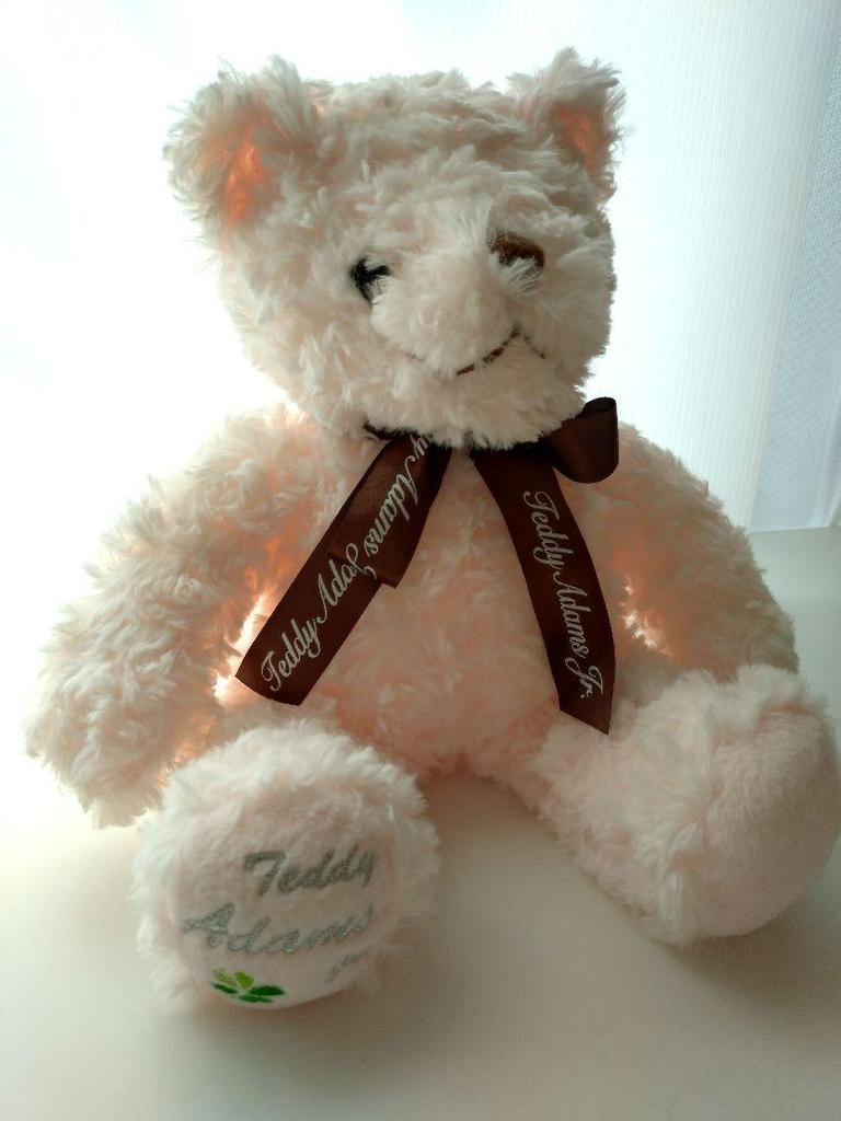 [USED] Teddy Adams Pink Teddy Bear