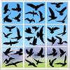 9Pcs Window Sticker Easy To Apply Reusable Bird Protection Stickers Exquisite Bird Safety Decal for Home