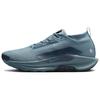 Pegasus Trail 5 GORE-TEX Smokey Blue Мужские кроссовки Light-Silver Armory-Navy FQ0908-005