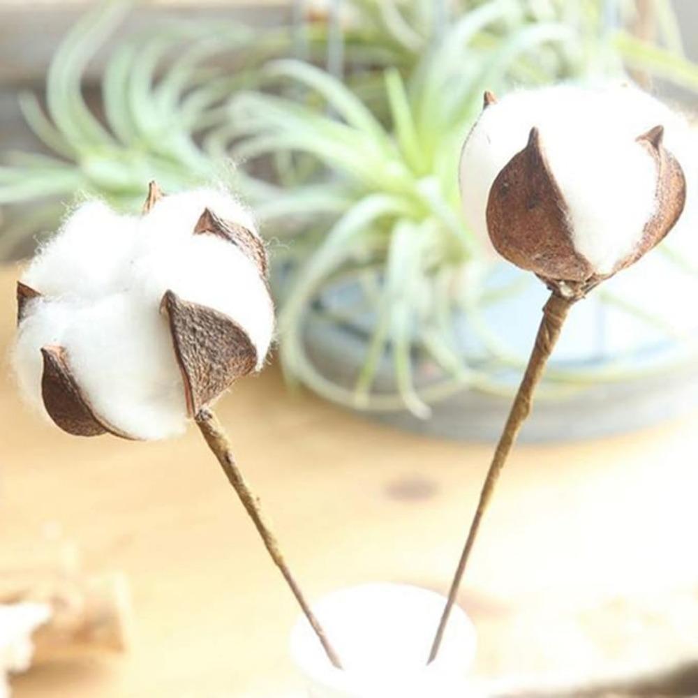 20 шт. хлопковых стеблей, натуральные хлопковые цветы, сушеные хлопковые палочки, ветка для вышивки, наполнитель для фермерского дома, мебель, свадебное украшение для дома своими руками