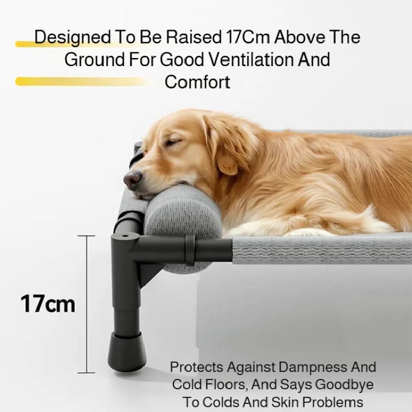 Raised Mesh Medium Large Cat Dog Off-the-ground Pet Bed Removable and Washable Breathable Pet Sofa Moisture-proof with Pillow