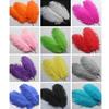 15 Pcs Natural Ostrich Feathers Colored Soft Feather for Clothes Wedding Decor