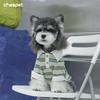Pet Four Seasons Striped Lapel Bottom Polo Shirt Schnauzer Corgi Fashion Turned Sleeve Dazzling Kugou Dog Clothes