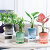 Transparent Vase Bamboo Planter Pots Room Decor Soil Cultivation Small Pot Flower Pot  Desktop