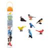 Safari Ltd Wild Bird Tube Figure 678304, 1 Piece, Popular Toys In Korea