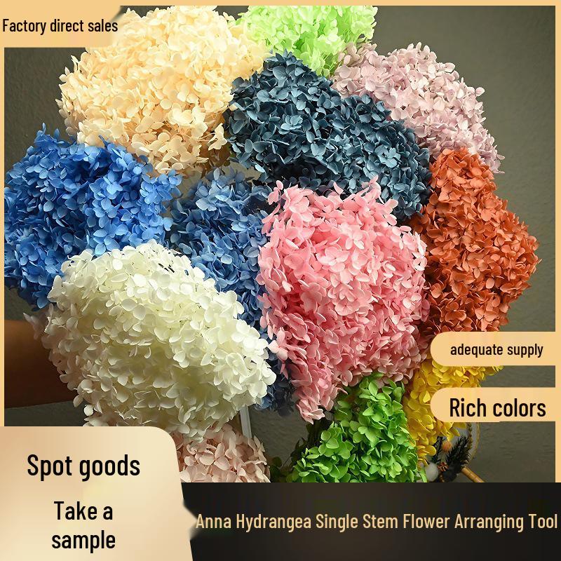 Phantom Flower: Single 20CM Preserved Hydrangea, Handmade Dried Bouquet for Decoration
