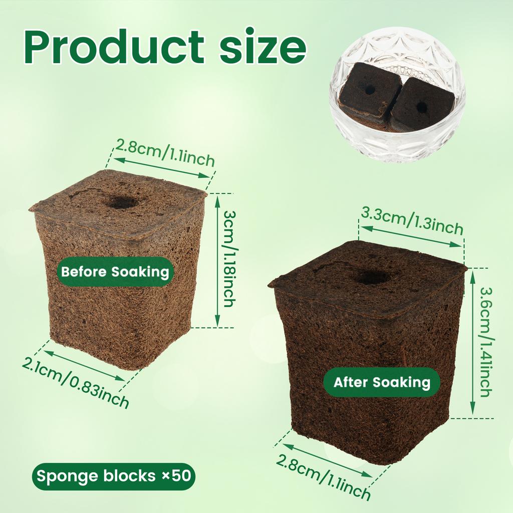 50Pcs Seed Grow Sponges Water Absorbent Hydroponic Pods Kit Replacement Root Garden Plant Plant Nutrients Growing System