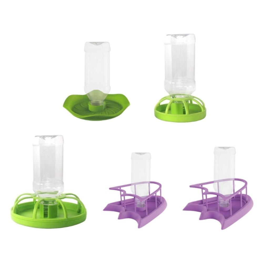 Accessories Turtle Food Container Lizard Food Bowel Reptile Feeder Tortoises Water Dispenser