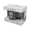 HARRY POTTER Кружка 600 мл Пожиратель Смерти Волан-де-Морт