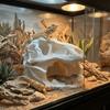 Lifelike Dinosaur Landscape Ornament 3D Printed Fish Hollow Shelter Fish Tank Ornament  Terrarium