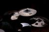 MEINL Тарелки Pure Alloy Custom Series Крэш-тарелки Сверхтонкий Кованый Крэш PAC20ETHC 20" []