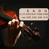 4/4 Violin Strings, Set of 4, Full Size Violin Strings