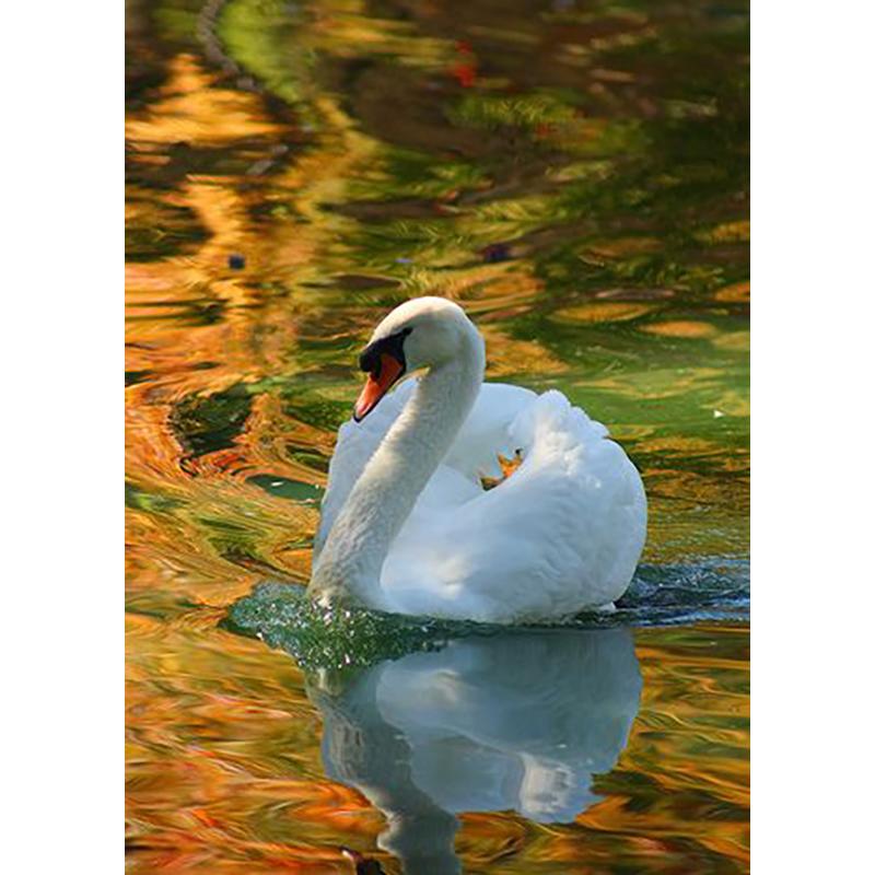 DIY Лебедь 5D алмазная живопись полная круглая дрель Алмазная вышивка животные стразы набор для вышивки крестом подарок домашний декор