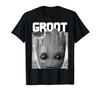 Marvel Guardians of the Galaxy 2 Big Face Groot Poster Vol. T-Shirt