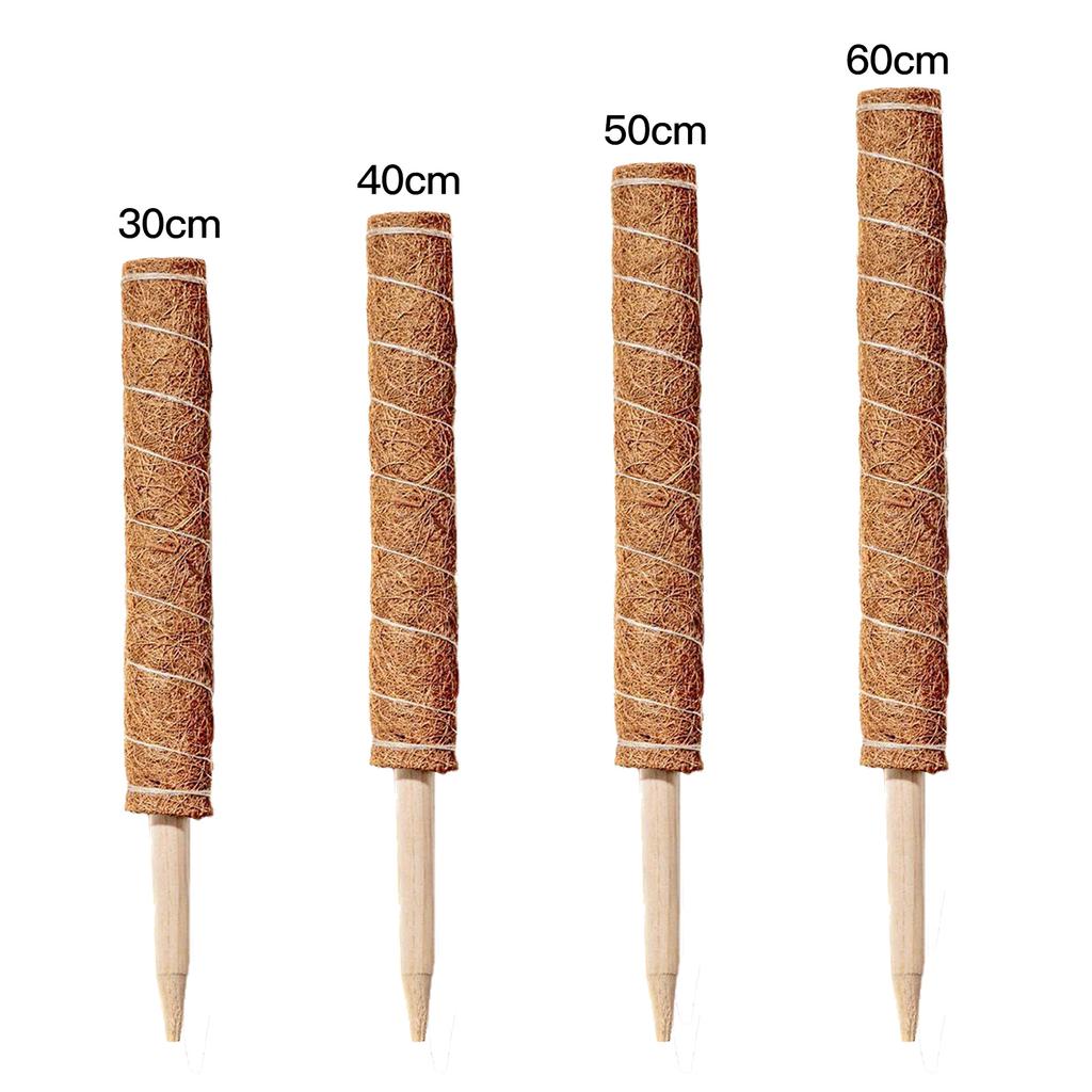Растение Моховой Кол Шпалера Для Горшечных Растений Садовые Принадлежности Прочный Деревянный Садовый Инструмент Штабелируемая Палка из Кокосовой Пальмы