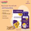 Siddhayu Ashwagandha  60 + 20 Tablets X Pack of 2 | Natural Immunity Booster for Strength, Energy and Mind-Body Rejuvenation