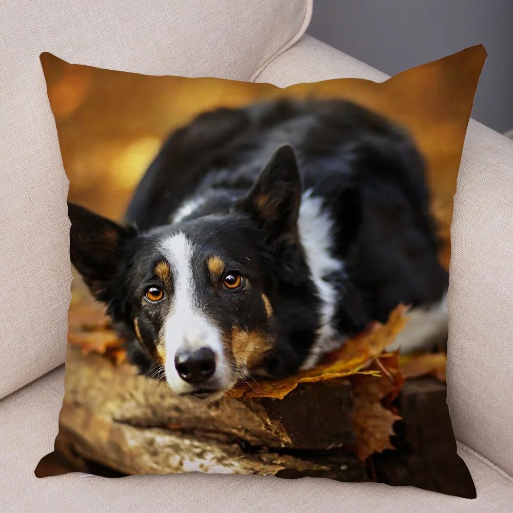 Soft Plush Cute Pet Animal Cushion Cover Scotland Border Collie Pillowcase for Sofa Car Decor Dog Printed Pillow Case