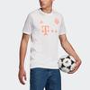 adidas Мужские белые футболки для футбола умеренного прямого кроя GE0583