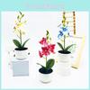 Simulated Phalaenopsis Potted Artificial Artificial Flower For Wedding Decor And Artistic Photography