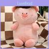 Hair Style Pig Plush Toys Cartoon Animal Stuffed Doll Decoration Kids Gifts