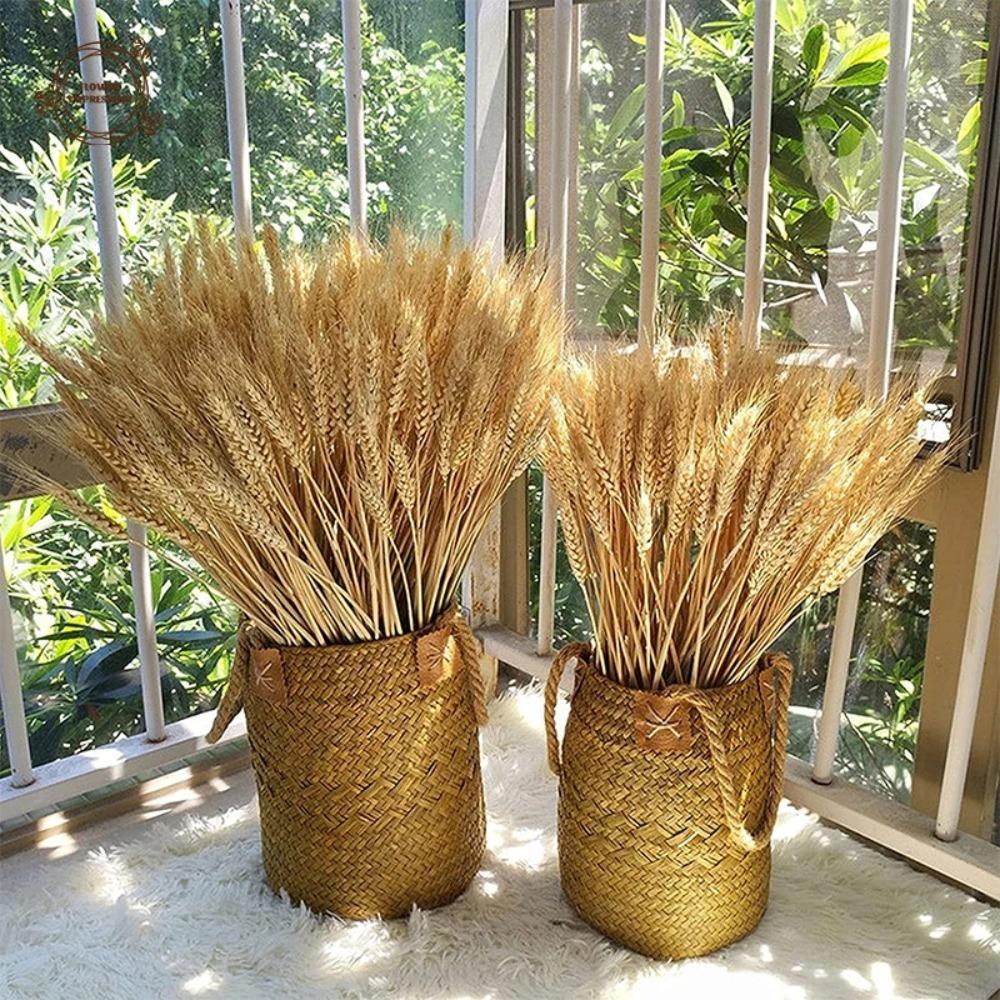 50pcs Natural Dried Wheat Stalks Rustic Dried Flowers Dry Wheat Spikes Home Kitchen Decoration