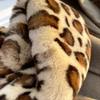 Зимний шарф с леопардовым принтом из искусственного кроличьего меха для женщин и девочек, мягкий плюшевый шарф, однотонный воротник-грелка, рождественский подарок