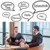 Cyfrowy Tłumacz Translator Języków Obcych Lingo Peiko 1.0