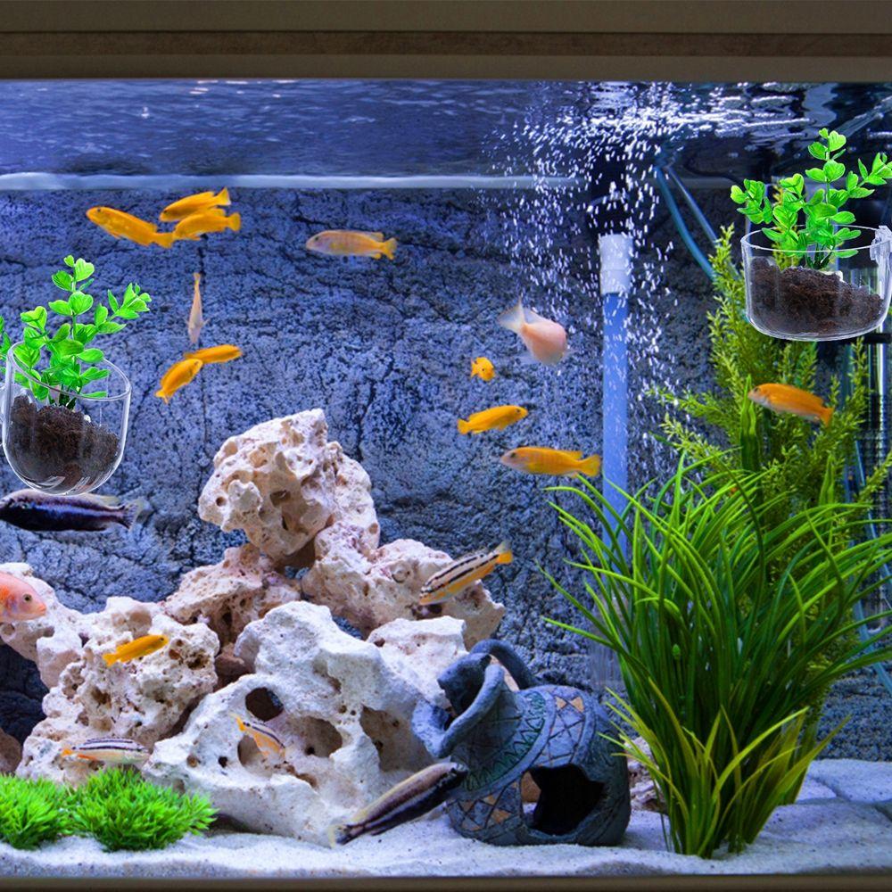 Мини-аквариумное украшение, водоросли, чашка для растений, красная кормушка для червей с присоской, держатель для аквариума