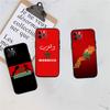 Morocco Flag Phone Case for Samsung Galaxy A01 A02 A02S A03 Core A03S A05 A05S A06 A10 A10S A16 A20 A20S A35 S10 Lite S10+ S10e