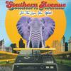 LP Пластинка SOUTHERN AVENUE - Be The Love You Want 538684021 BMG, Renew Reco 2021 US Соул/Фанк