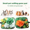 Pet Sniffing Pad Interactive Guinea Pigs Snuffle Mat Slow Feeding Rabbits Foraging