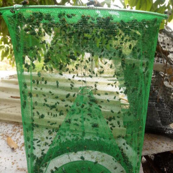 1/2/3/4 шт. многоразовая подвесная складная домашняя ферма, ловушка для мух, ловушка для насекомых, клетка-сетка