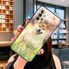 Чехол с животным собакой Сиба-ину для Samsung Galaxy A06 A05 A16 A26 A36 A56 A53 A32 A52 A33 A13 A55 A35 A15 A14 A34 A54
