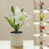 Популярный искусственный цветочный декор, имитирующий компактный дизайн, без пыльцы