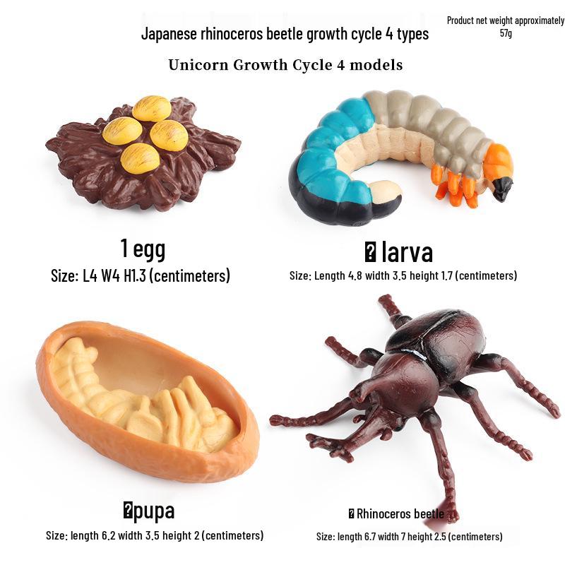Межграничная Симуляция Животное Присоска Игрушка: Модели жизненного цикла: Бабочка, Петух, Муравей, Лягушка, Морская черепаха, Комар