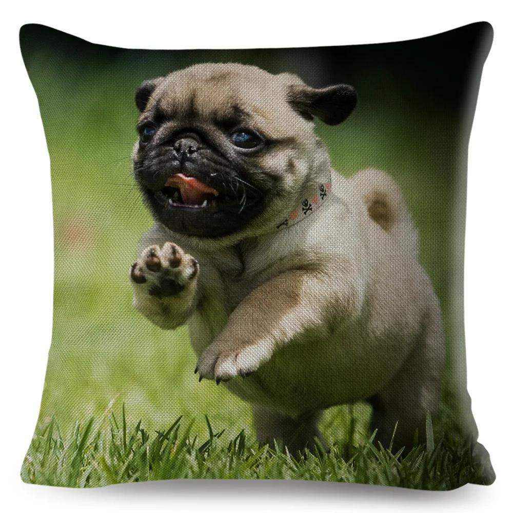 Both Sided Pug Dog Print Cushion Cover Decoration Pet Animal Pillow Case for Sofa Home Car Linen Pillowcase 45x45cm